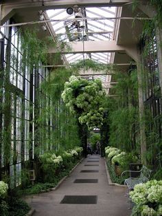 the inside of a greenhouse with lots of plants and greenery on either side of the walkway