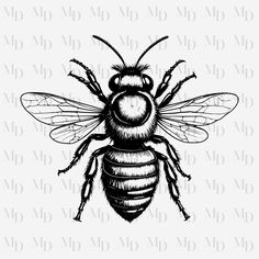 a black and white drawing of a bee with the words mr m d on it