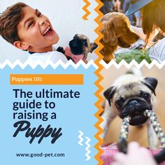 Pet Collage Template Visme Magazine Cover Template, Photo Website, Training Collar, Dog Training Collar, Dogs And Kids, Pattern Images, Losing A Dog, Social Media Templates