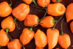 many orange peppers are in a brown bowl