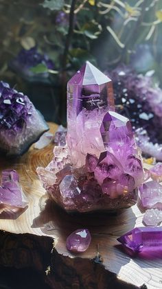 Iphone Wallpaper Backgrounds, What Are Crystals, Find Aesthetic, Wallpaper Backgrounds Aesthetic, Power Of Crystals, Minerals Crystals Rocks, Backgrounds Aesthetic