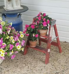 two potted flowers sitting on top of a wooden step