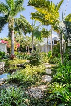 a tropical garden with palm trees and other plants