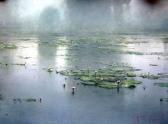 water lilies floating on the surface of a lake with fog in the air above them