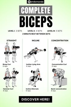 Get the ultimate arm pump with this complete biceps workout. This guide covers all you need to build strong, defined biceps. Perfect for anyone serious about bicep gains. Get started! Workout Charts, Exercise Arms, Track Workouts, Bicep And Tricep Workout, Big Arms, Dumbell Workout