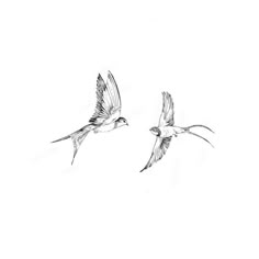 Bird Line Work Tattoo, Dainty Sparrow Tattoo, Fine Line Sparrow Tattoo, Fine Line Swallow Tattoo, Tattoo Golondrina, Small Sparrow Tattoo, Bird Tattoo Drawing, Small Tattoos Black