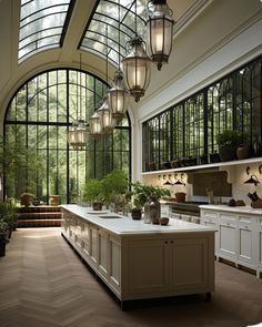 a large kitchen with lots of windows and plants on the counter top in front of it