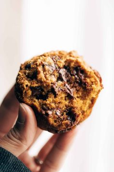 a person holding a chocolate chip cookie in their hand