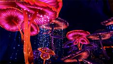 some very pretty colorful mushrooms in the dark night sky with blue and pink lights on them