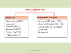 a diagram showing the different types of prostaglandins ppa and pf