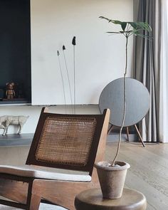 an image of a living room setting with chairs and plants on the table in front of it