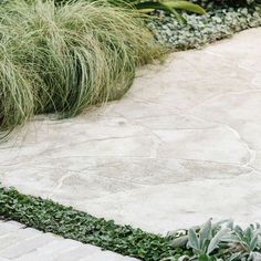 an outdoor walkway with grass and shrubbery