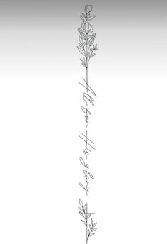 a black and white drawing of a plant with writing on it