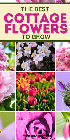 9 different photos of flowers. Text says, "The Best Cottage Flowers to Grow montanahappy.com" Home Flower Garden Design, Flower Bushes, Cottage Garden Flowers, Easiest Flowers To Grow, Medicine Garden, Flowers To Grow, Oregon House, Cottage Flowers, Garden Beautiful