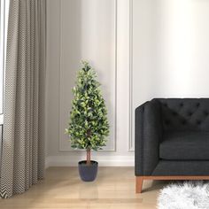 a living room with a black couch and a small tree in the corner next to it