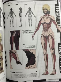 an open book with instructions on how to draw human body and muscles in anime style