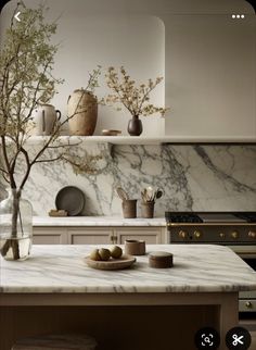 a kitchen with marble counter tops and shelves