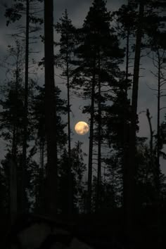 the full moon is seen through some trees