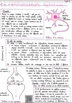 a handwritten paper with an image of the human nervous system and text on it