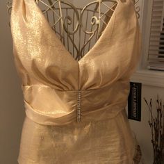 Nwt- Women’s Sleeveless, Gold Blouse With Decorative Waist Band, Deep Plunge Neckline & Back Zip. Size 14, Fits Slightly Small- Size 12. Formal V-neck Camisole, Gold Sleeveless Camisole For Night Out, Gold Tank Top For Evening, Fitted Sleeveless Blouse Camisole For Party, Elegant Fitted Gold Tank Top, Elegant Gold Tank Top For Evening, Elegant Gold Tank Top For Evening Events, Spring Formal V-neck Tank Top, Elegant Gold Sleeveless Blouse Tank Top