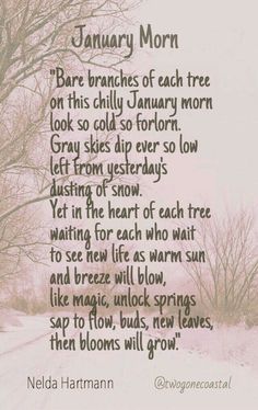 a poem written on the side of a road with trees and snow in the background