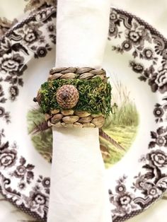 a napkin holder with moss and pinecone on it is sitting on a plate