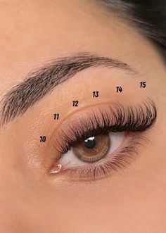 Natural Fake Eyelashes, Best Lash Extensions, Lashes Fake Eyelashes, Lash Extensions Makeup, Cat Eye Lash, Eyelash Extensions Styles, Lash Extensions Styles, Perfect Eyelashes, Pretty Lashes