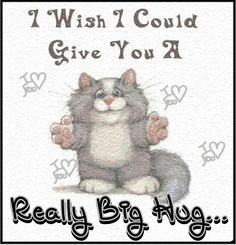 an image of a cat saying i wish i could give you a really big hug