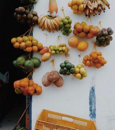 fruit hanging on the side of a building with bananas, oranges and other fruits