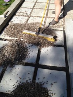 a person with a broom is cleaning up some dirt