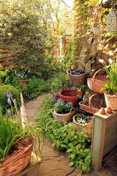 a garden filled with lots of different types of flowers and plants next to each other