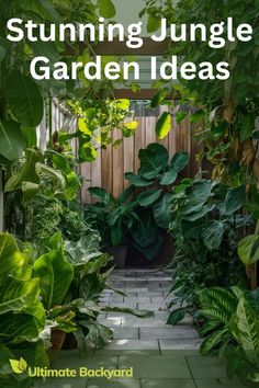 a garden with lots of green plants in it and the words stunning jungle garden ideas