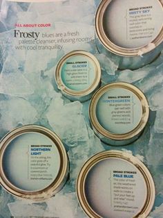 the front cover of frosty blue and white paint colors, with instructions for each color