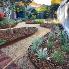 an outdoor garden area with various plants and landscaping materials in the foreground, next to a white picket fence