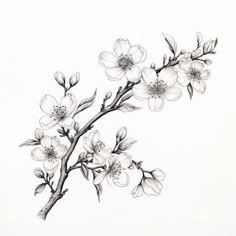 Cherry Blossom Tattoo - Art on Your Skin Cherry Tree Tattoo Black And White, Blossom Cherry Tattoo, Cherry Tree Branch Tattoo, Sunflower And Cherry Blossom Tattoo, Cherry Blossom Tattoo Upper Arm, Blossom Flower Tattoo Design, Cherry Blossom Tree Tattoo Design, Cherrybloom Tattoo, Cherry Blossom Line Tattoo