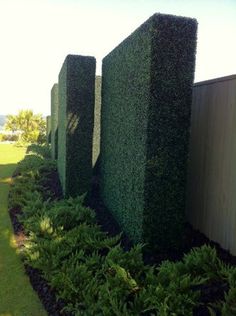 some very tall green bushes by the side of a building with grass growing around it