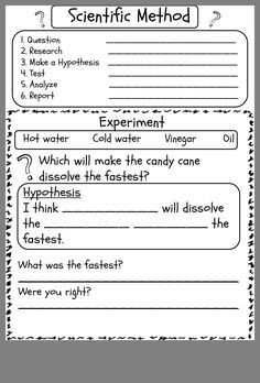 the scientific method worksheet