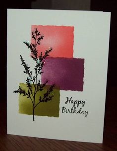 a happy birthday card with an image of a plant on the left and pink, green, yellow and purple squares on the right