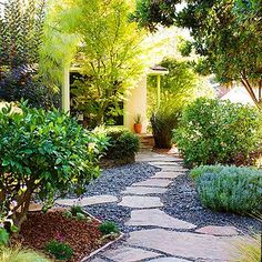 a stone path in the middle of a garden with trees and shrubs around it, leading to a house