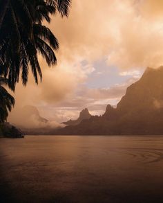 there is a palm tree in the foreground with mountains in the background and clouds in the sky