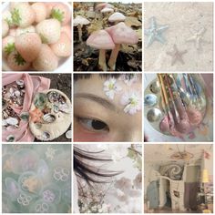 a collage of photos with different things in them including shells, flowers and other items