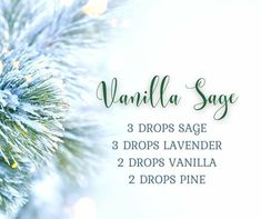 Cookies Gingerbread, Essential Oil Remedy, Essential Oil Blends Recipes