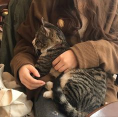 a woman holding a cat in her lap