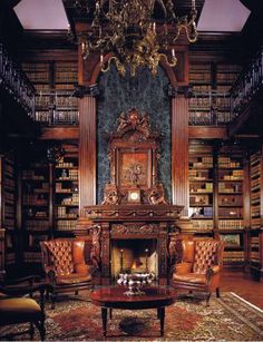 a living room filled with furniture and a fire place in the middle of bookshelves