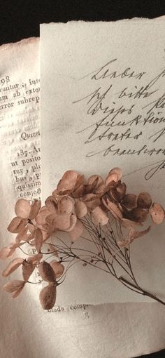 an old handwritten letter with dried flowers on it