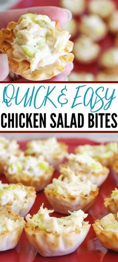 chicken salad bites are being held up by a hand with the words quick and easy chicken salad bites on it