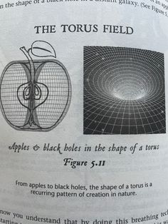 an advertisement for the torus field apple is shown in black and white, as well as instructions on how to use it