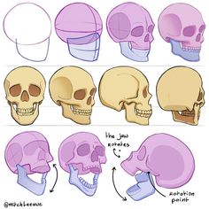 the different types of skulls are shown in this drawing lesson, which shows how to draw them