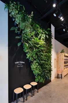 an indoor plant wall with three stools in front of it and the words, the farm