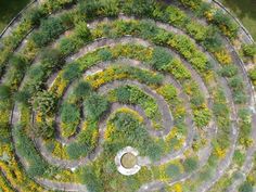 an aerial view of a circular garden in the middle of a field with yellow flowers